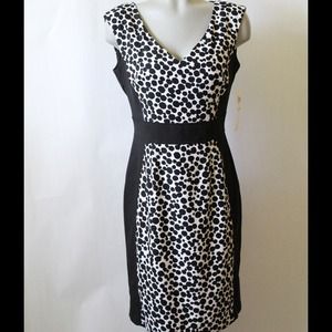 NWT Black Sheath Dress Cheetah Print Inlay