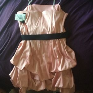 Rose pink dress nwt