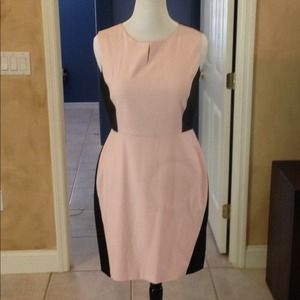 Pink & Blk sheath dress