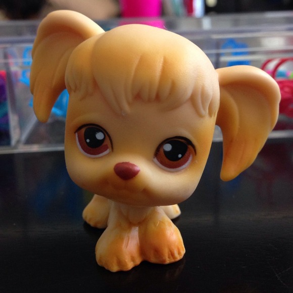 Littlest pet shop