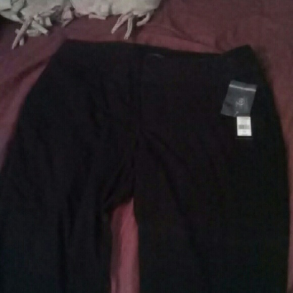 Size 12 Daisy Fuentes Black Pants