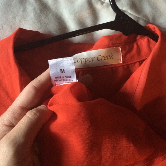 Sheer Blouse - Picture 2 of 4