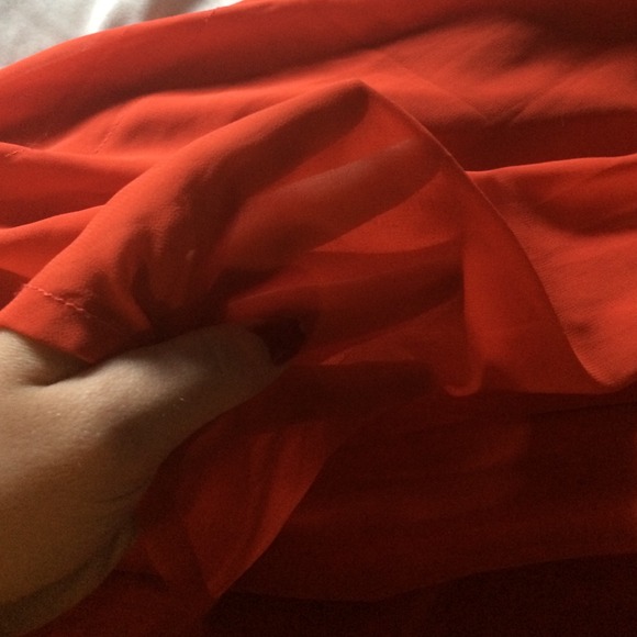 Sheer Blouse - Picture 3 of 4