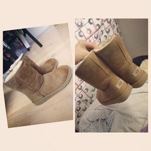 Chestnut brown uggs(TRADING) on hold