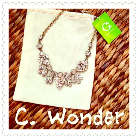 C. Wonder Jewelry - C. WONDER Crystal Marque Necklace