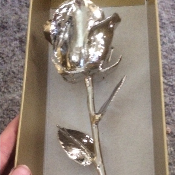 Forever rose - Picture 2 of 3