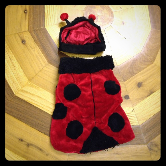 SOLD Lady bug dog costume