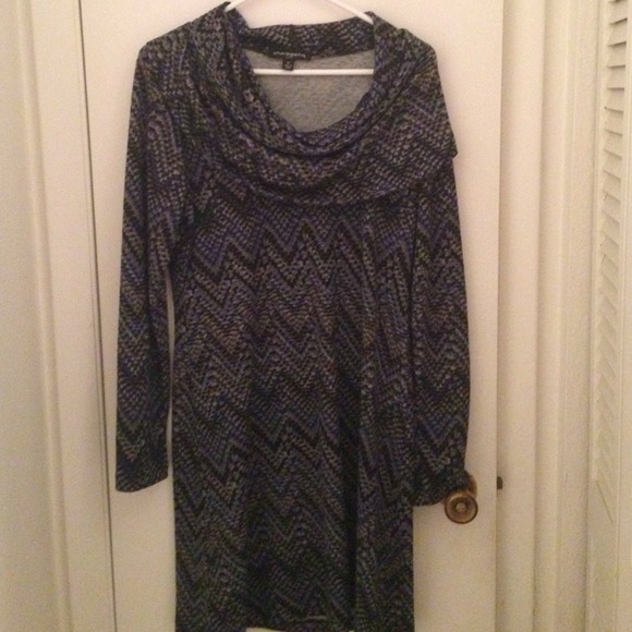 Size 12 Turtle Neck Dress