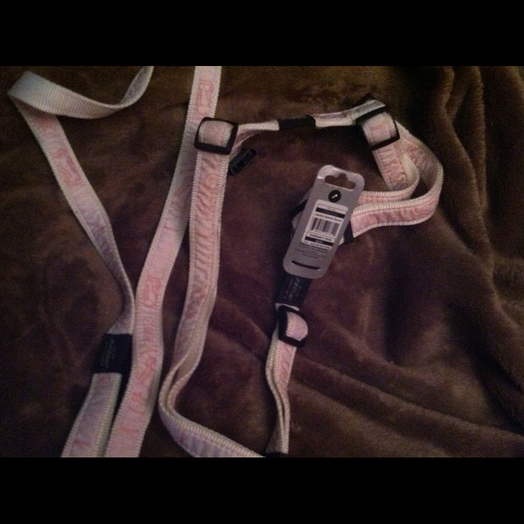 Rogz harness and leash set for your special girl!!