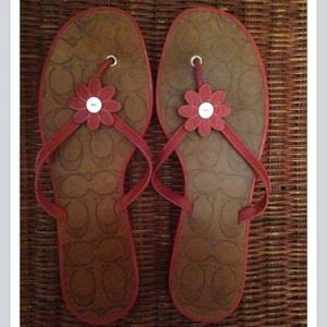 Coach Daisy Sandals size 10