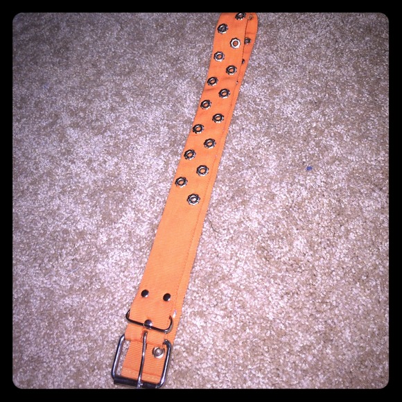 Belt