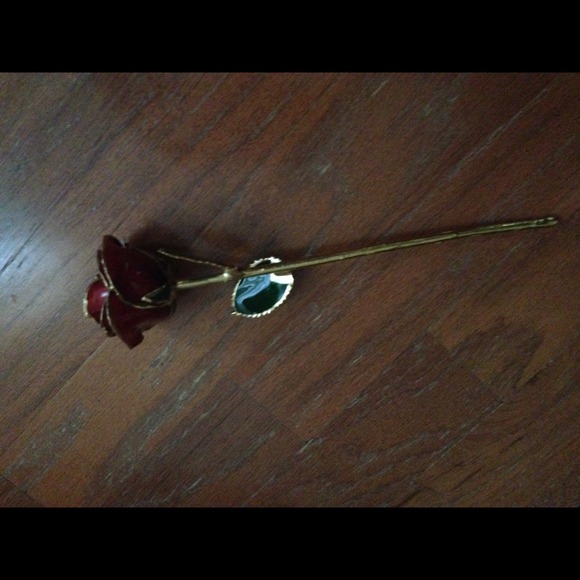 14 k dipped rose