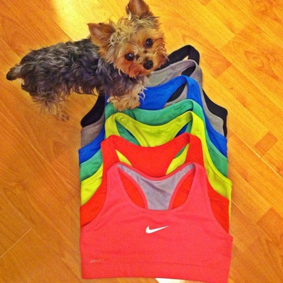 Nike Sports Bras Bundle (Colors: NG, R, O & P)