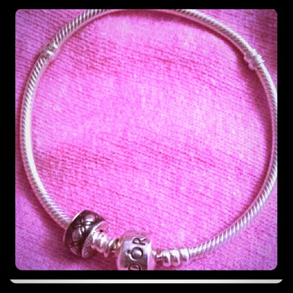 Pandora charm bracelet