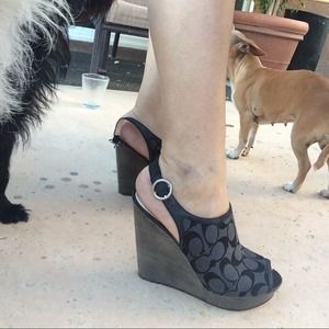 Coach Shoes - Coach Coach Shoes - Coach