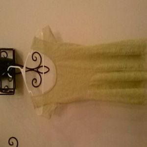 Light green lace skater dress