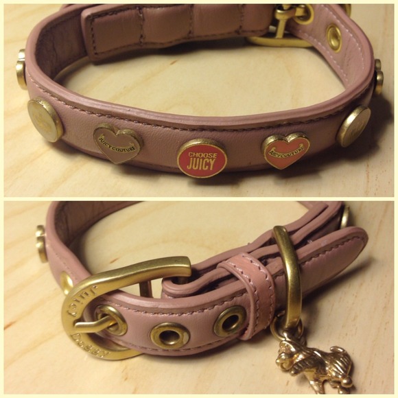 juicy couture dog collar