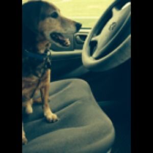 I will Bundle and I won't over charge