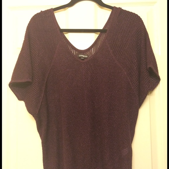 Express Dolman Metallic Eggplant Mesh Sweater