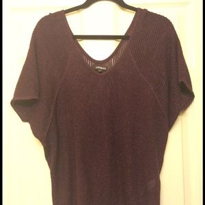 Express Dolman Metallic Eggplant Mesh Sweater
