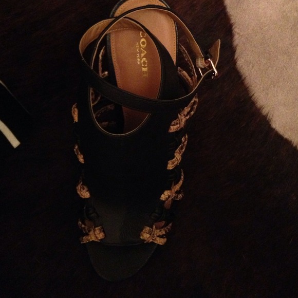 SOLD - Picture 4 of 4