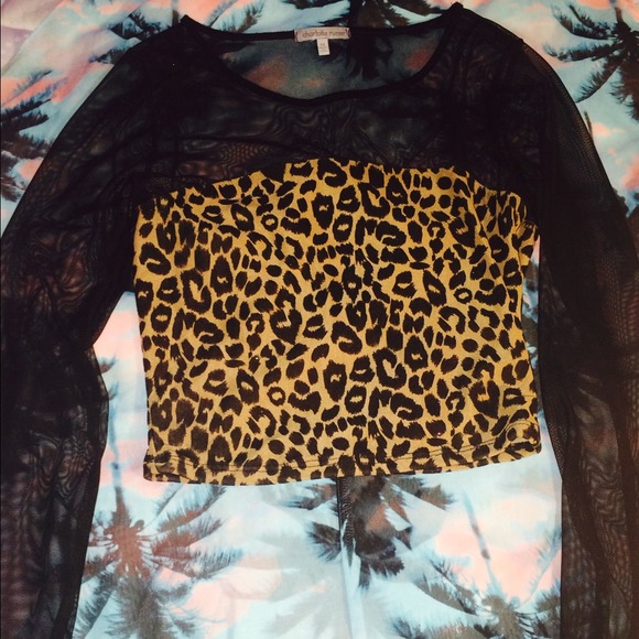 Cheetah print top with mesh sleeves