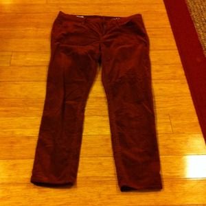 Corduroy pants from gap