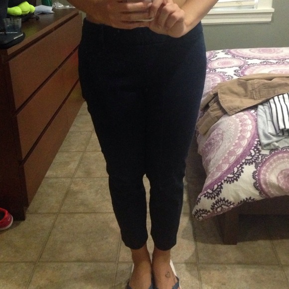 Jcrew Minnie Pants