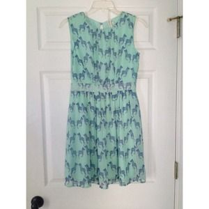 Mint/Blue Zebra Dress