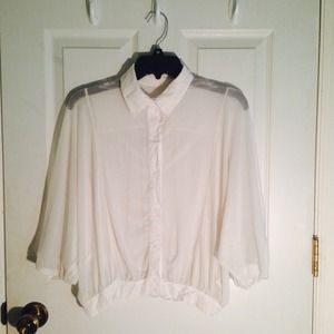 Shear Long Sleeved Button Up Blouse