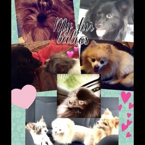 💕Just sharing my babies...