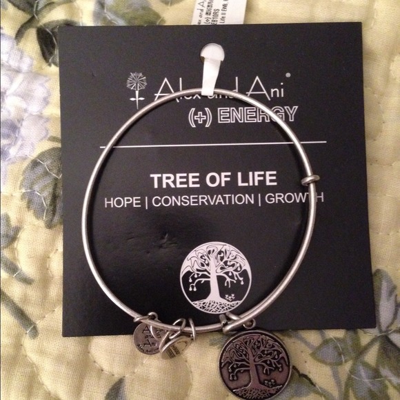 New Alex And Ani Bracelet