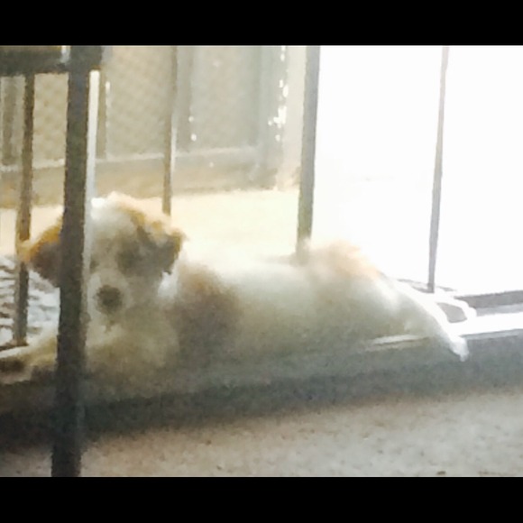 Hi !!! - Picture 2 of 4