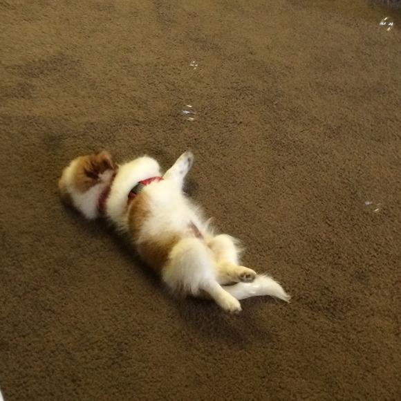 Hi !!! - Picture 3 of 4