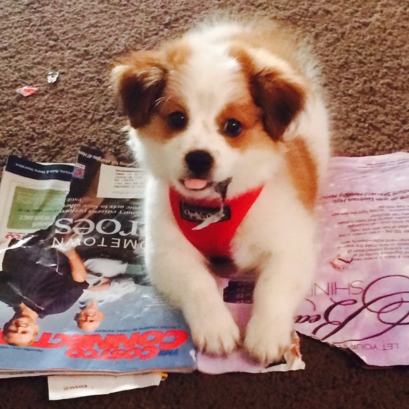 Hi !!! - Picture 4 of 4