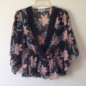 Sheer Kimono Blouse