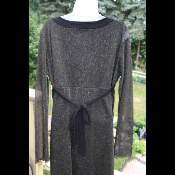 Shimmery Knee Length Dress with Sheer Long Sleeves - Picture 3 of 4