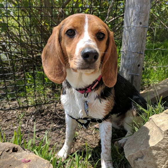 Meet your Posher, Kori! - Picture 2 of 4