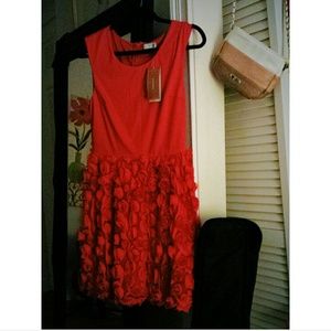 Adorable Red Rose Dress<3 from Francesca's Boutiqu