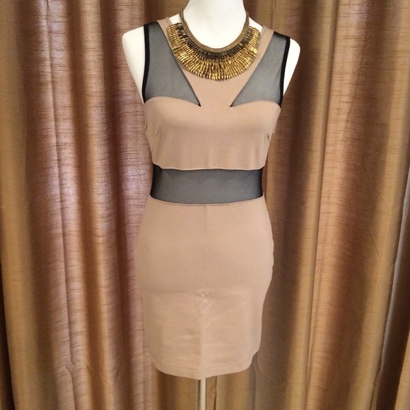 Taupe Geo Sheer Mini Dress