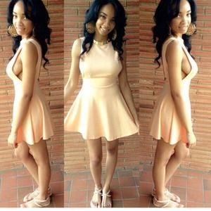 American Apparel Pointe Sleeveless Skater Dress