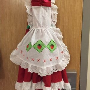 Strawberry Shortcake costume accessories included