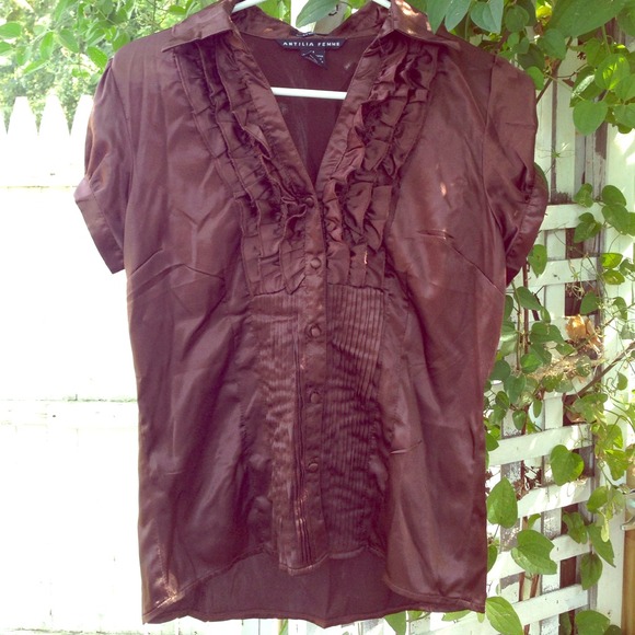 Brown Silky Dress Shirt