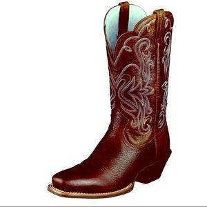 Price slash! Almost 50% off! Ariat Cowgirl Boots