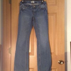 Hailey Flare Curvy Jeans