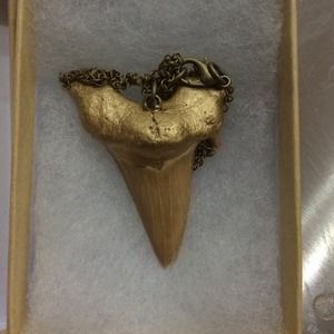 Gold shark tooth necklace