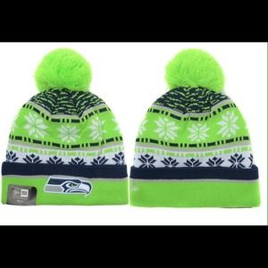 seahawks Beanie. new unworn