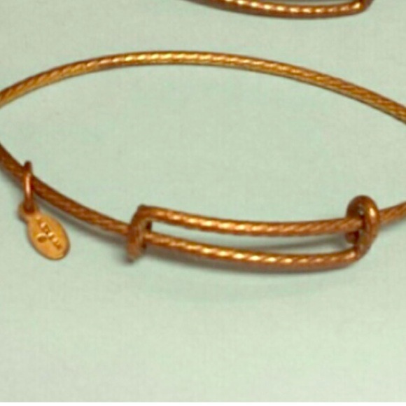 Alex & Ani  authentic bracelet