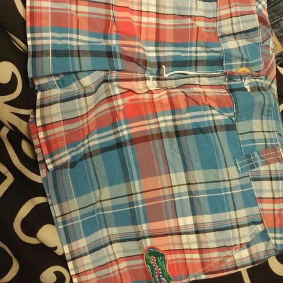 Florida Gators plaid shorts