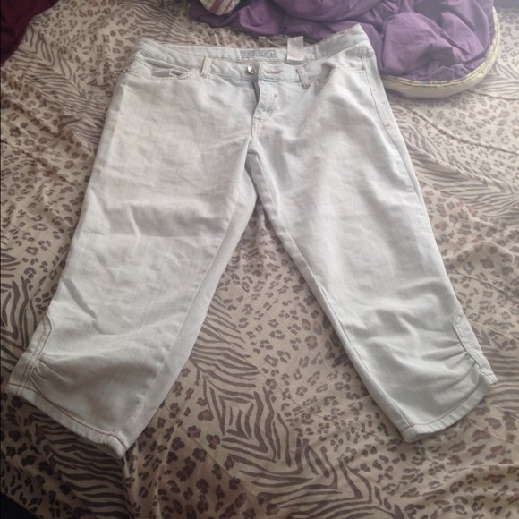 Baby phat capris